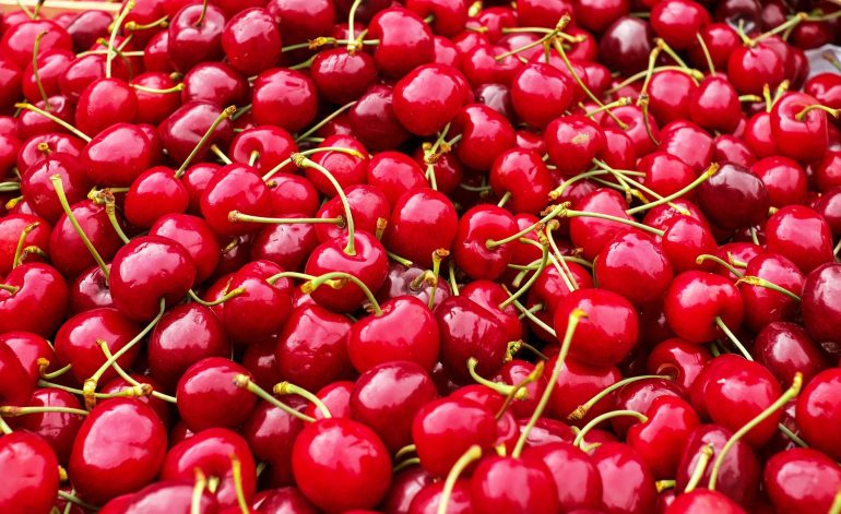 cherries-1465801_1920